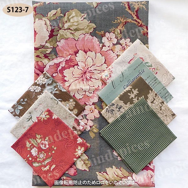 �礭�ʲ����ȥ��åȥ��������åȣ����S123��