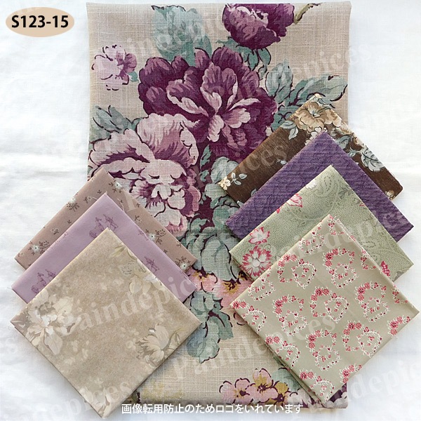 �礭�ʲ����ȥ��åȥ��������åȣ����S123��