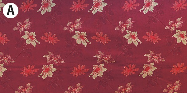 wild roseڣˣӣ