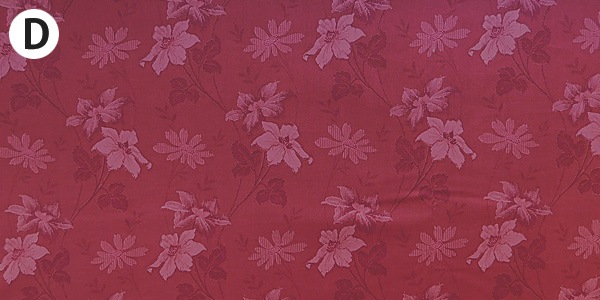 wild roseڣˣӣ