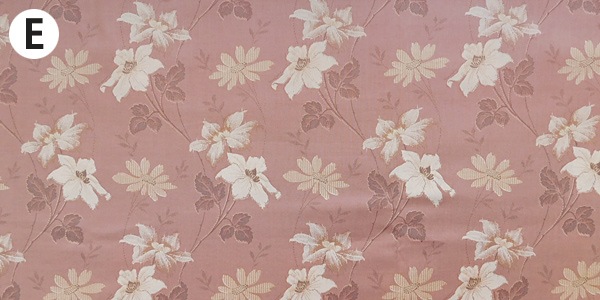 wild roseڣˣӣ