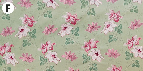 wild roseڣˣӣ