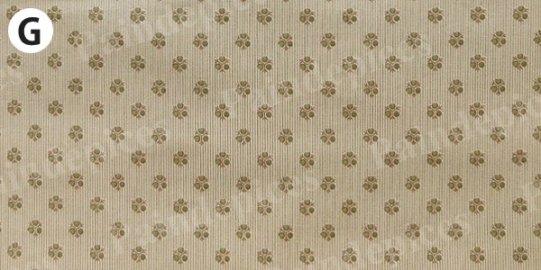 ���ȥ饤�פȾ����ʲ֡ڣˣӣ�������