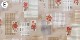 rose card�ڣˣӣ�������