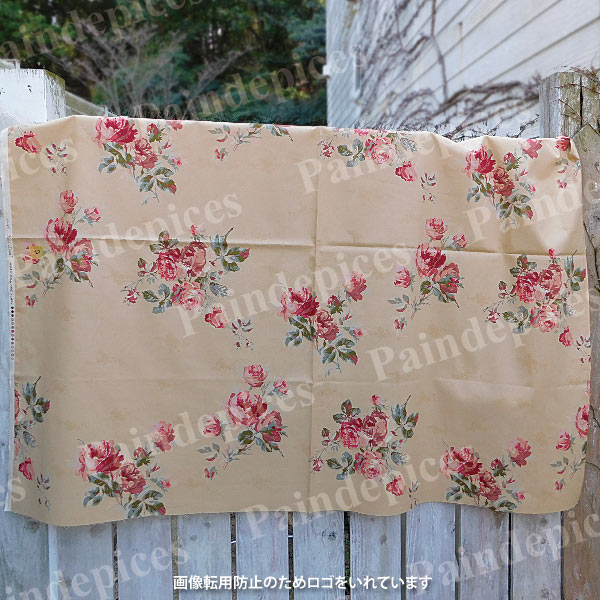 rosariau�ڣˣӣ�������