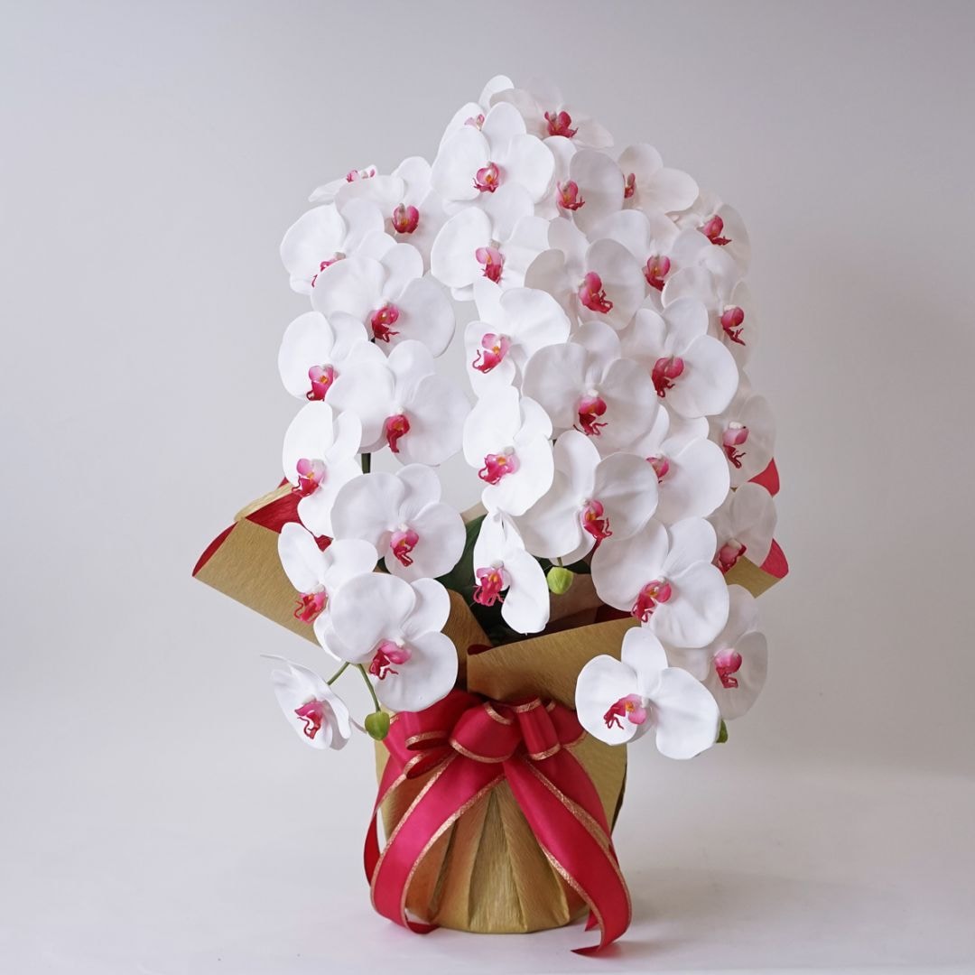 胡蝶蘭鉢 はくらん 3本立ち 赤リップ アーティフィシャルフラワー