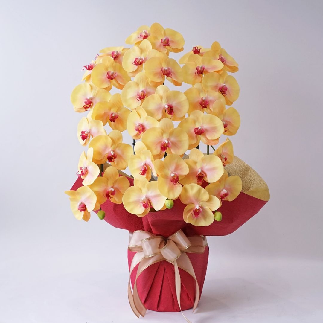 胡蝶蘭鉢 はくらん 3本立ち イエロー アーティフィシャルフラワー