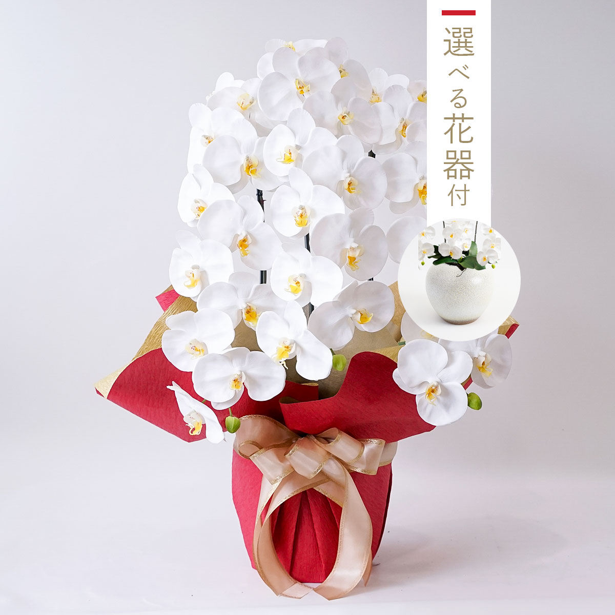 胡蝶蘭鉢 はくらん 選べる花器付 3本立ち 白 アーティフィシャルフラワー