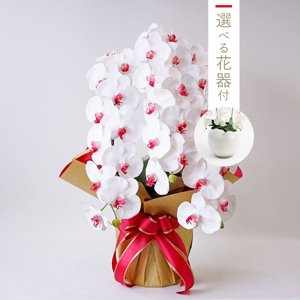 胡蝶蘭鉢 はくらん 選べる花器付 3本立ち 赤リップ アーティフィシャルフラワー