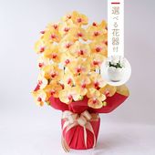 胡蝶蘭鉢 はくらん 選べる花器付 3本立ち イエロー アーティフィシャルフラワー