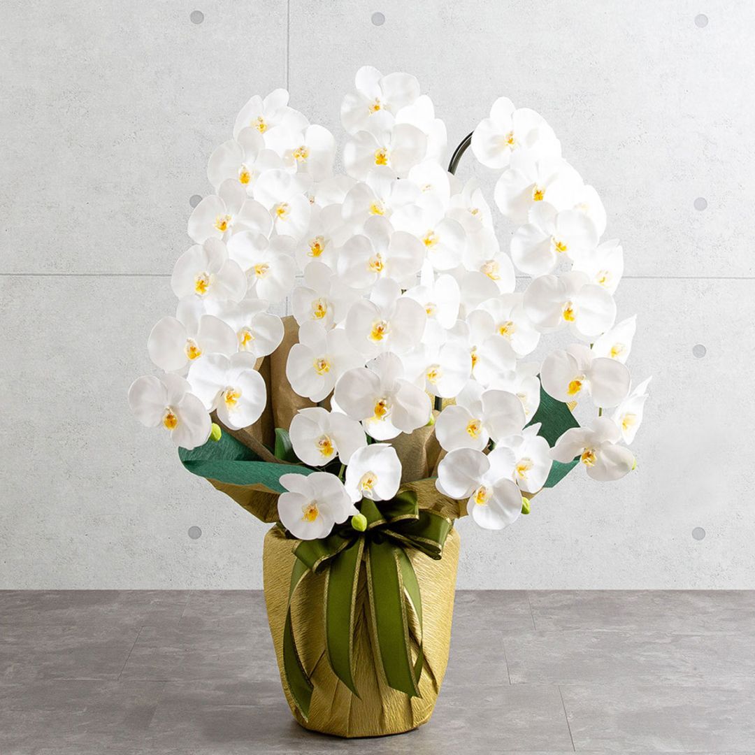 胡蝶蘭鉢 はくらん 5本立ち 白 アーティフィシャルフラワー