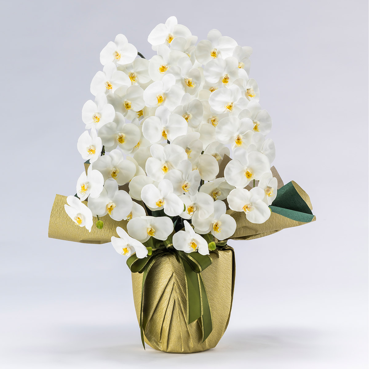 胡蝶蘭鉢 はくらん 5本立ち 白 アーティフィシャルフラワー