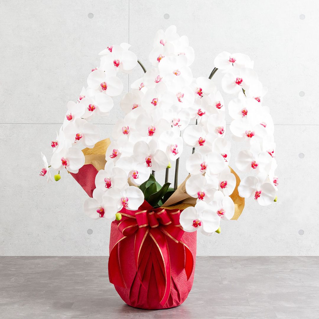 胡蝶蘭鉢 はくらん 5本立ち 赤リップ アーティフィシャルフラワー