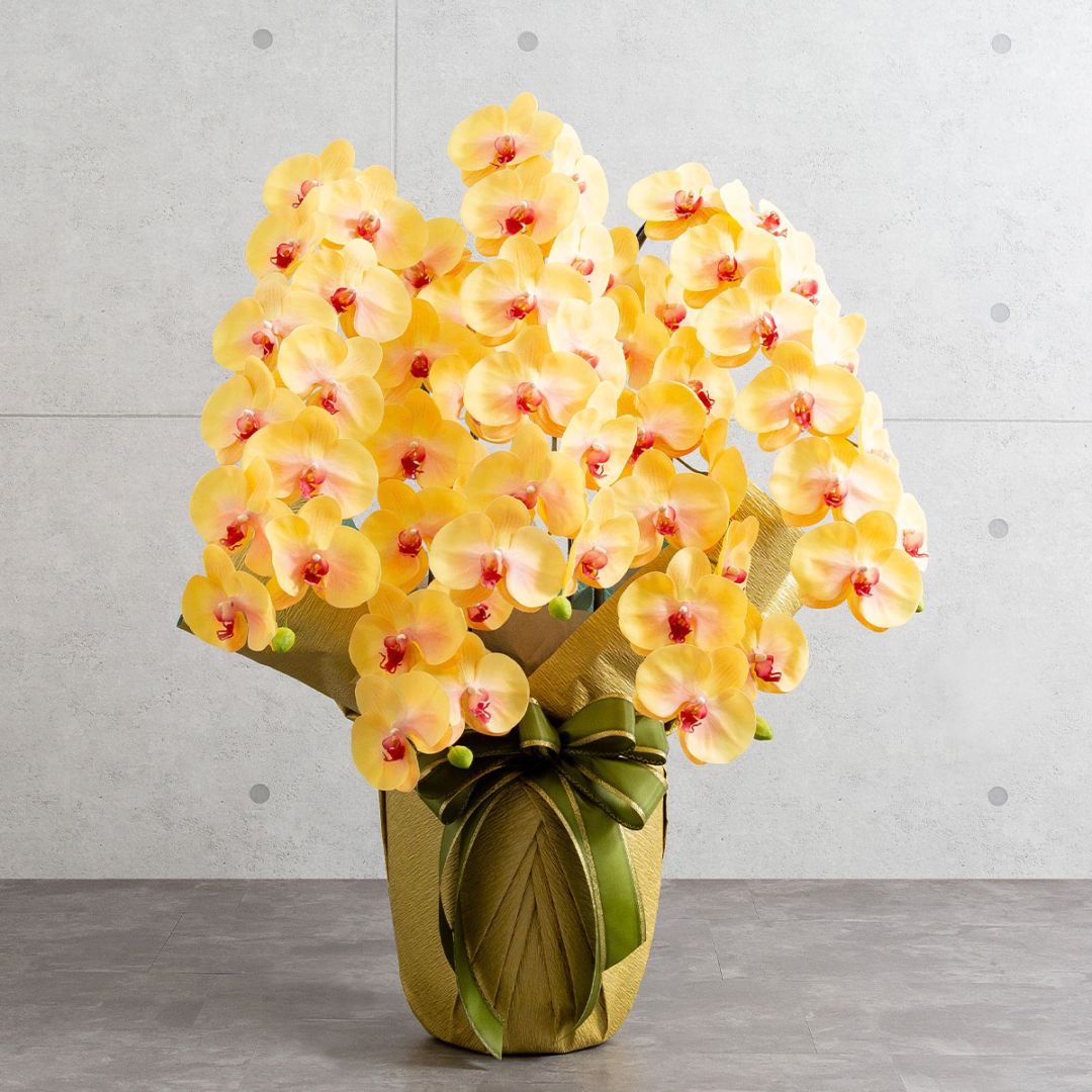 胡蝶蘭鉢 はくらん 5本立ち イエロー アーティフィシャルフラワー