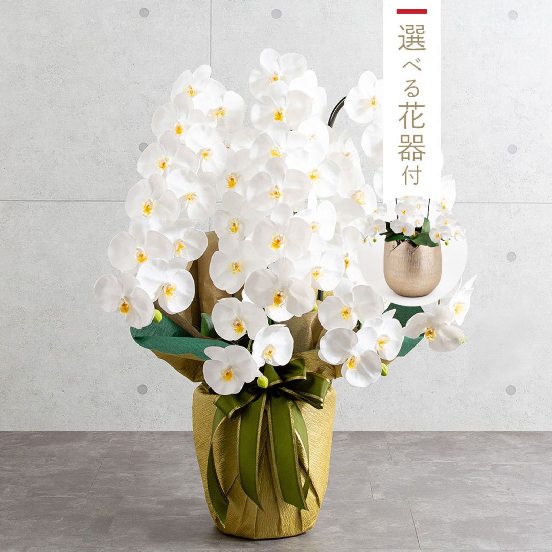 胡蝶蘭鉢 はくらん 選べる花器付 5本立ち 白 アーティフィシャルフラワー