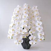 胡蝶蘭鉢 はくらん[06] 5本立ち 80輪 アーティフィシャルフラワー