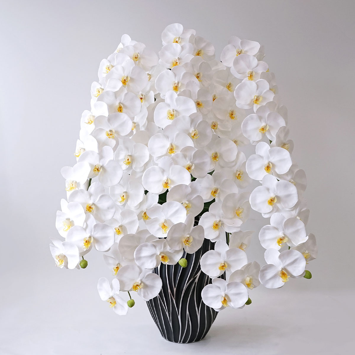 胡蝶蘭鉢 はくらん[06] 5本立ち 80輪 アーティフィシャルフラワー