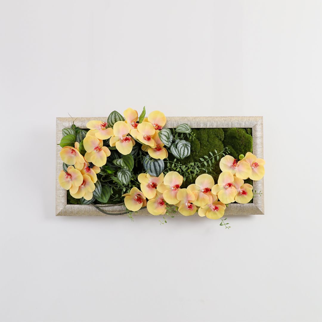 胡蝶蘭 はくらん フレーム  [23] BA アレンジ 鉢 アーティフィシャルフラワー