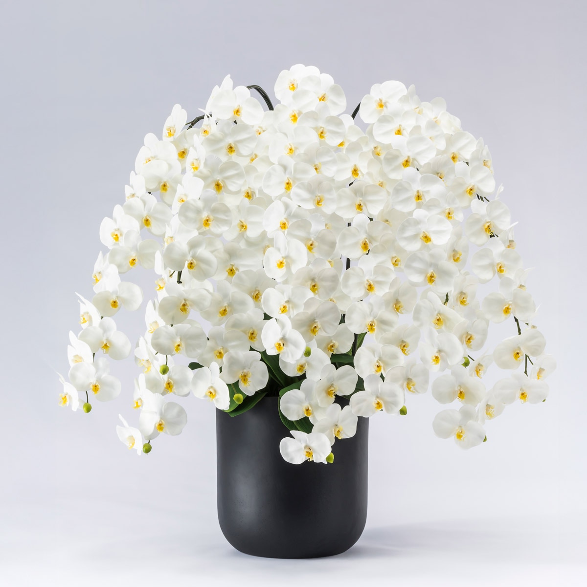 胡蝶蘭鉢 はくらん[03] 10本立ち 150輪 アーティフィシャルフラワー【大型商品】