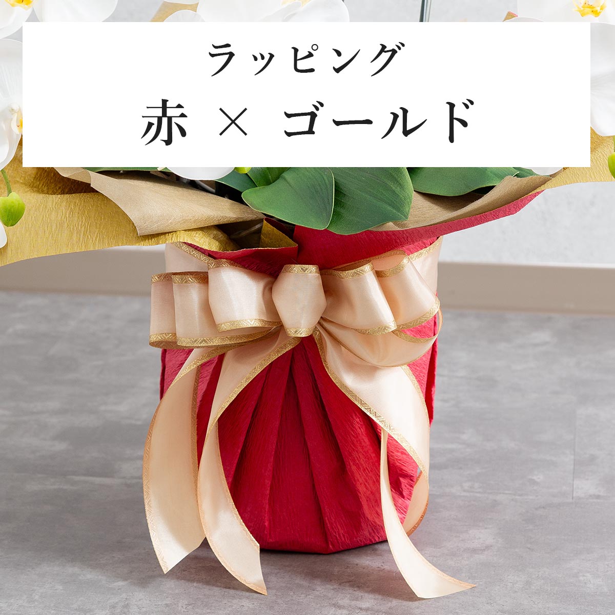 胡蝶蘭鉢 はくらん 3本立ち 赤リップ アーティフィシャルフラワー