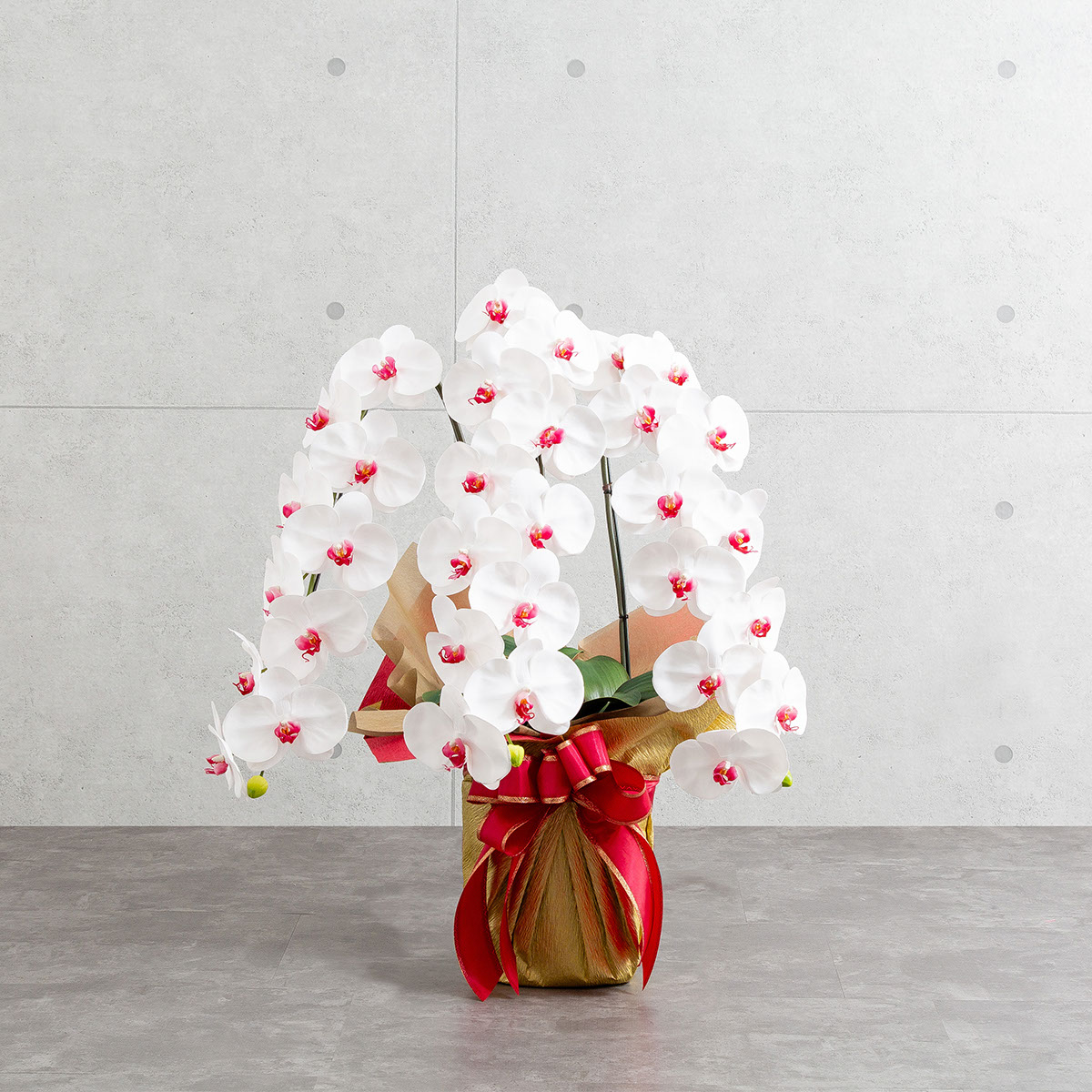 胡蝶蘭鉢 はくらん 3本立ち 赤リップ アーティフィシャルフラワー