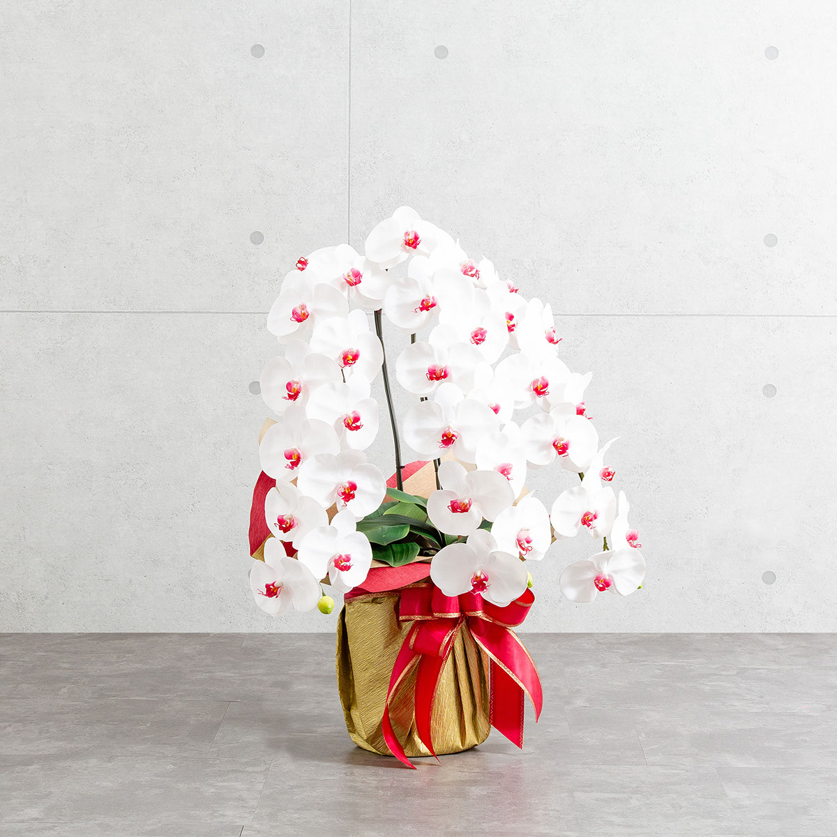 胡蝶蘭鉢 はくらん 3本立ち 赤リップ アーティフィシャルフラワー