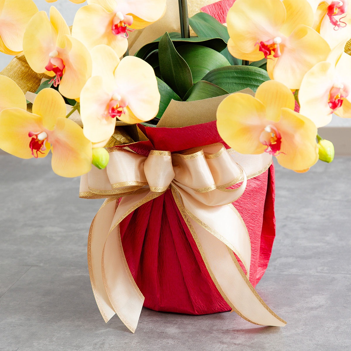 胡蝶蘭鉢 はくらん 3本立ち イエロー アーティフィシャルフラワー