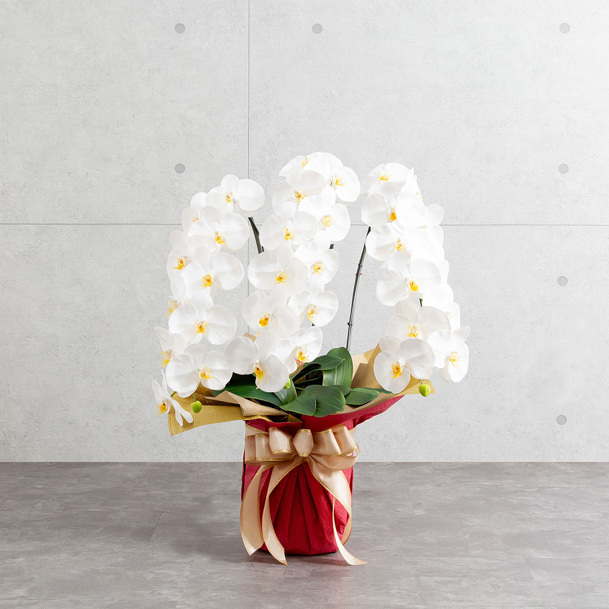 胡蝶蘭鉢 はくらん 3本立ち 白 アーティフィシャルフラワー