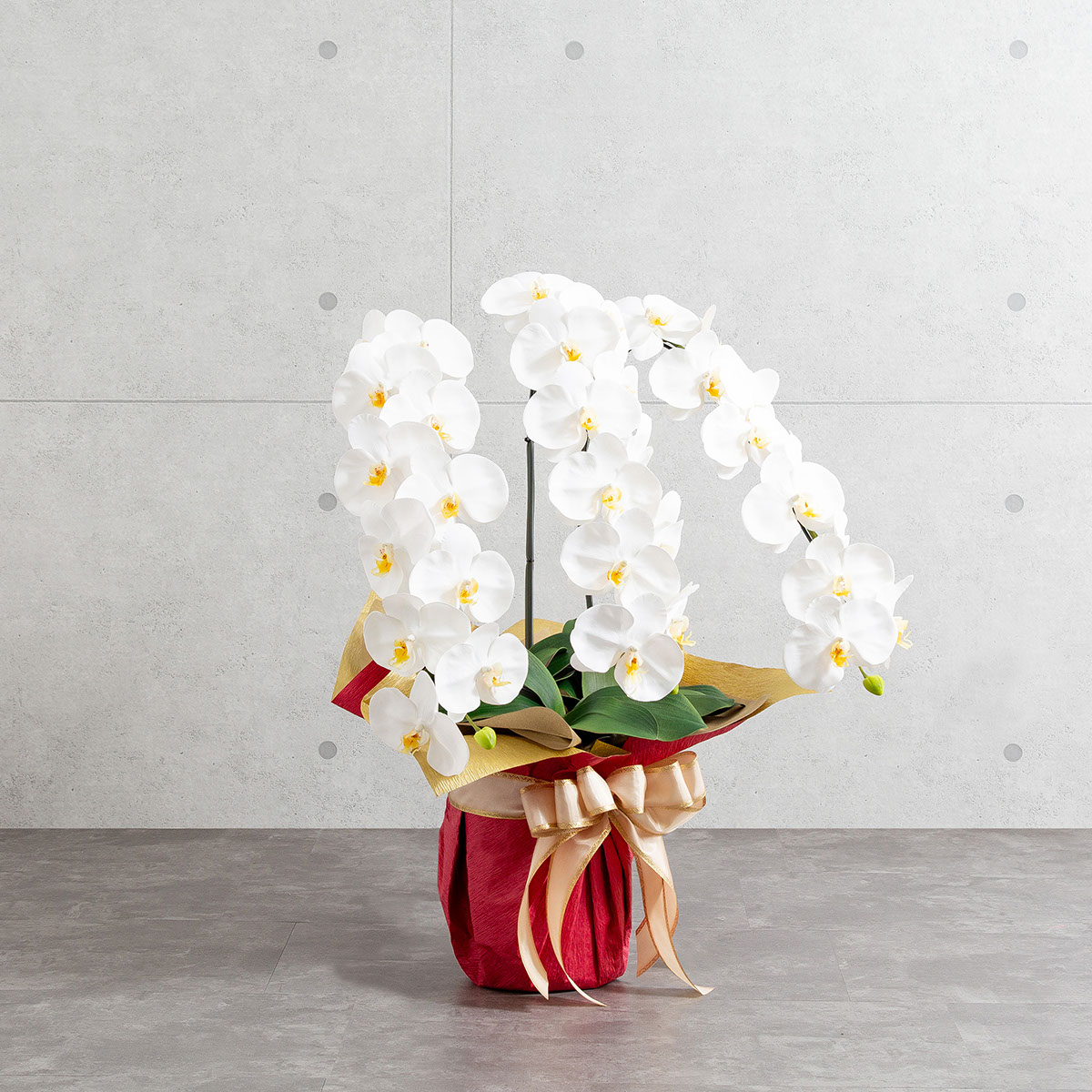 胡蝶蘭鉢 はくらん 3本立ち 白 アーティフィシャルフラワー