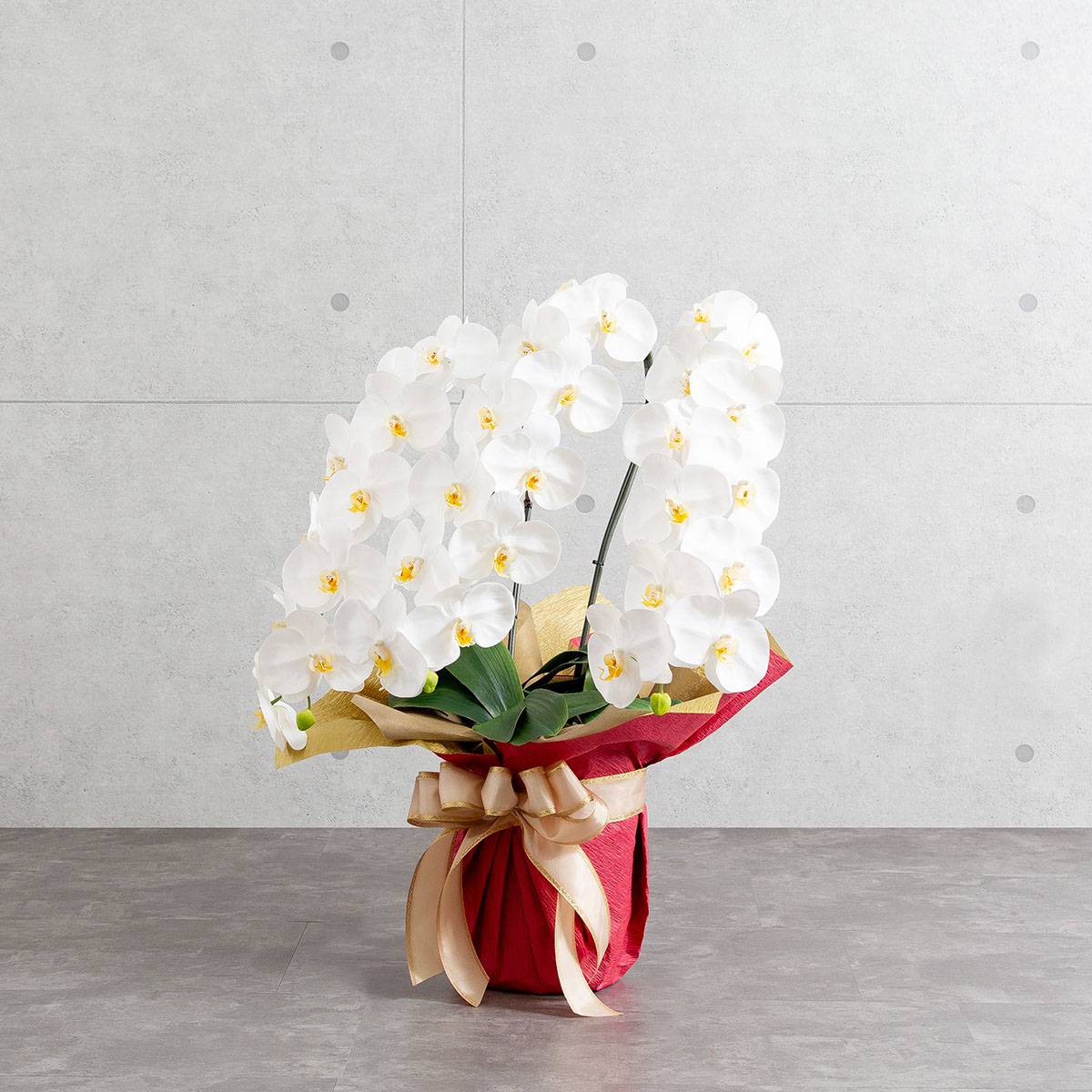 胡蝶蘭鉢 はくらん 選べる花器付 3本立ち 白 アーティフィシャルフラワー