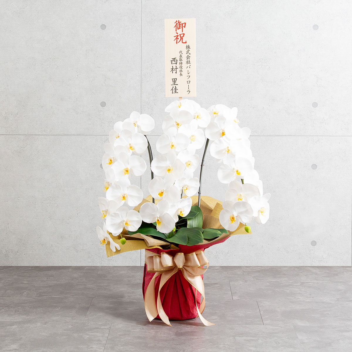 胡蝶蘭鉢 はくらん 選べる花器付 3本立ち 白 アーティフィシャルフラワー