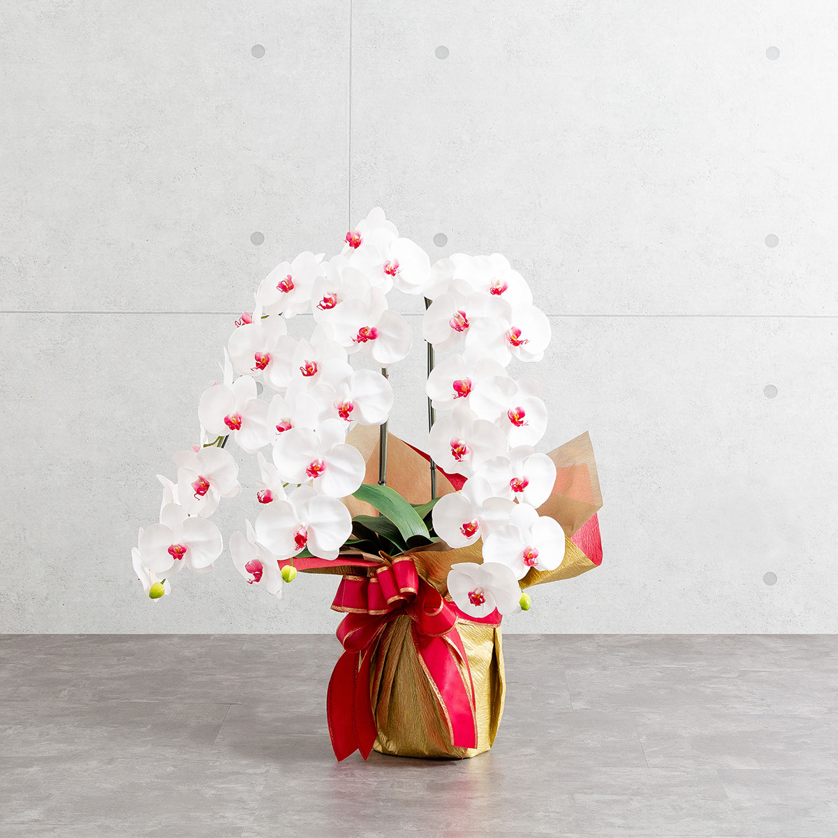 胡蝶蘭鉢 はくらん 選べる花器付 3本立ち 赤リップ アーティフィシャルフラワー