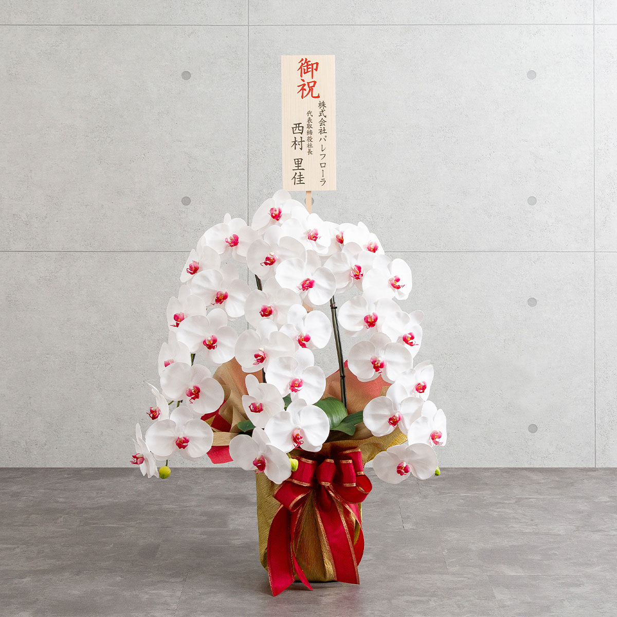 胡蝶蘭鉢 はくらん 選べる花器付 3本立ち 赤リップ アーティフィシャルフラワー