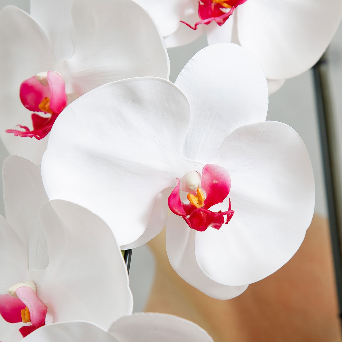 胡蝶蘭鉢 はくらん 選べる花器付 3本立ち 赤リップ アーティフィシャルフラワー