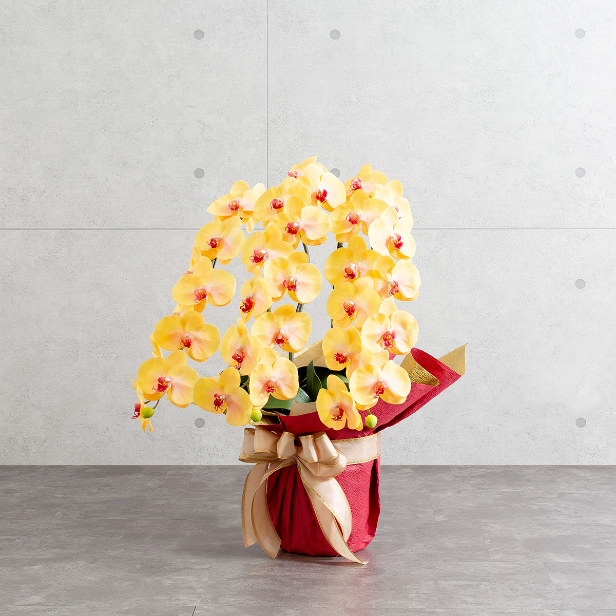 胡蝶蘭鉢 はくらん 選べる花器付 3本立ち イエロー アーティフィシャルフラワー