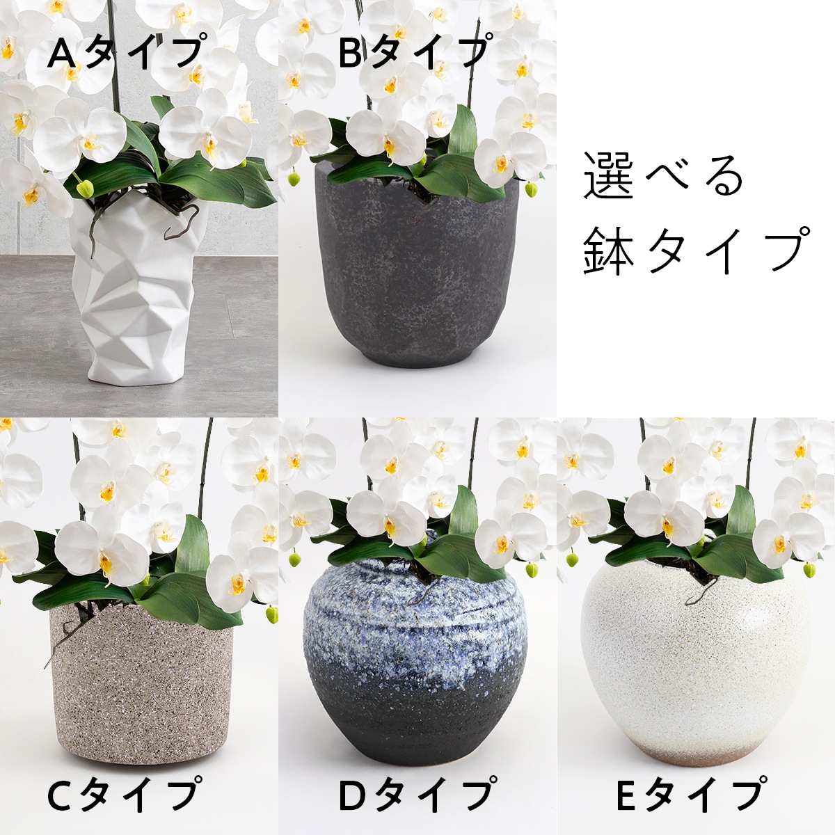 胡蝶蘭鉢 はくらん 選べる花器付 3本立ち イエロー アーティフィシャルフラワー