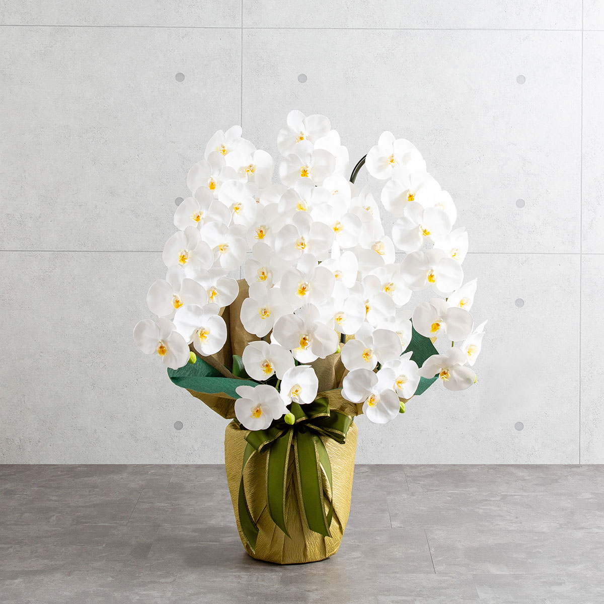 胡蝶蘭鉢 はくらん 5本立ち 白 アーティフィシャルフラワー