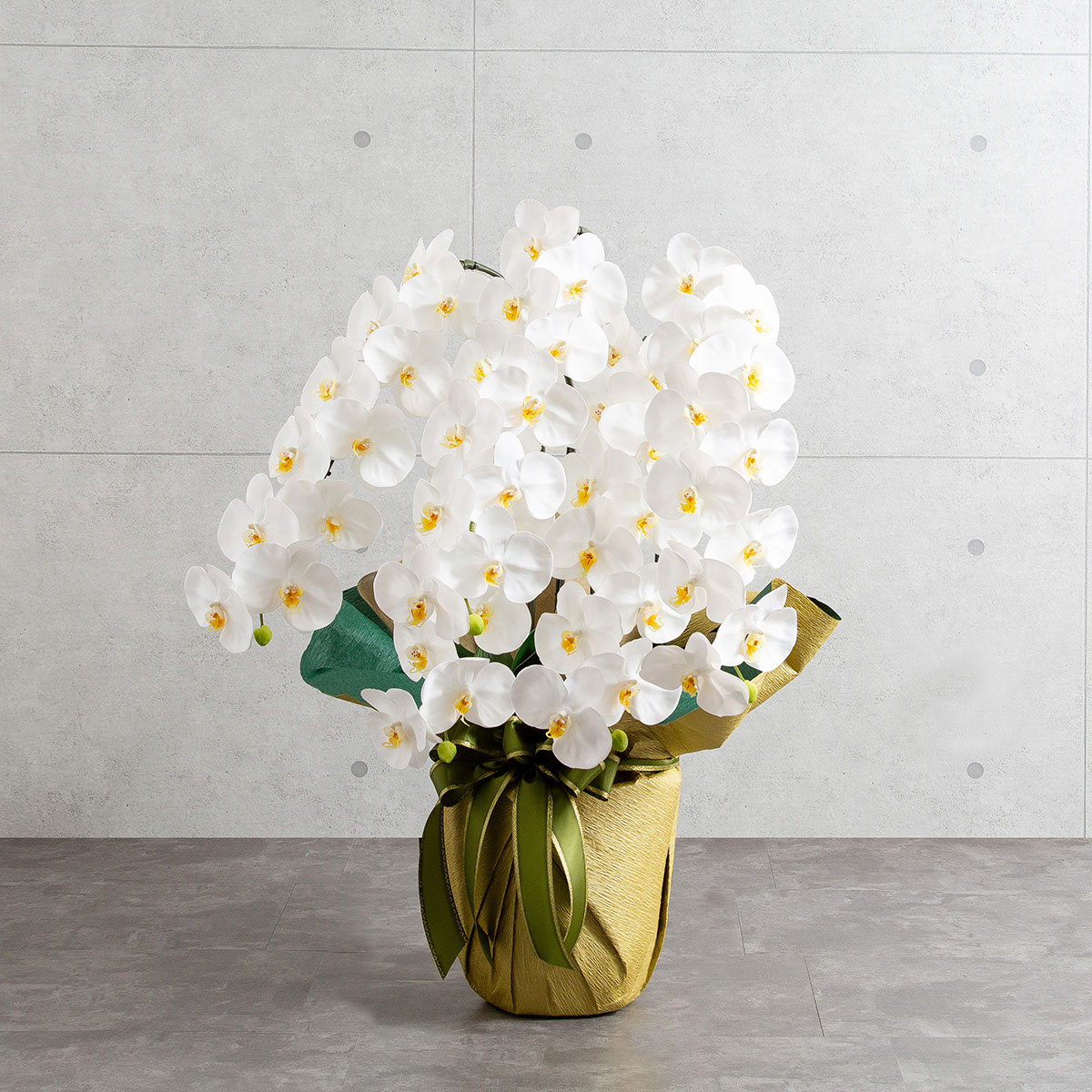 胡蝶蘭鉢 はくらん 5本立ち 白 アーティフィシャルフラワー