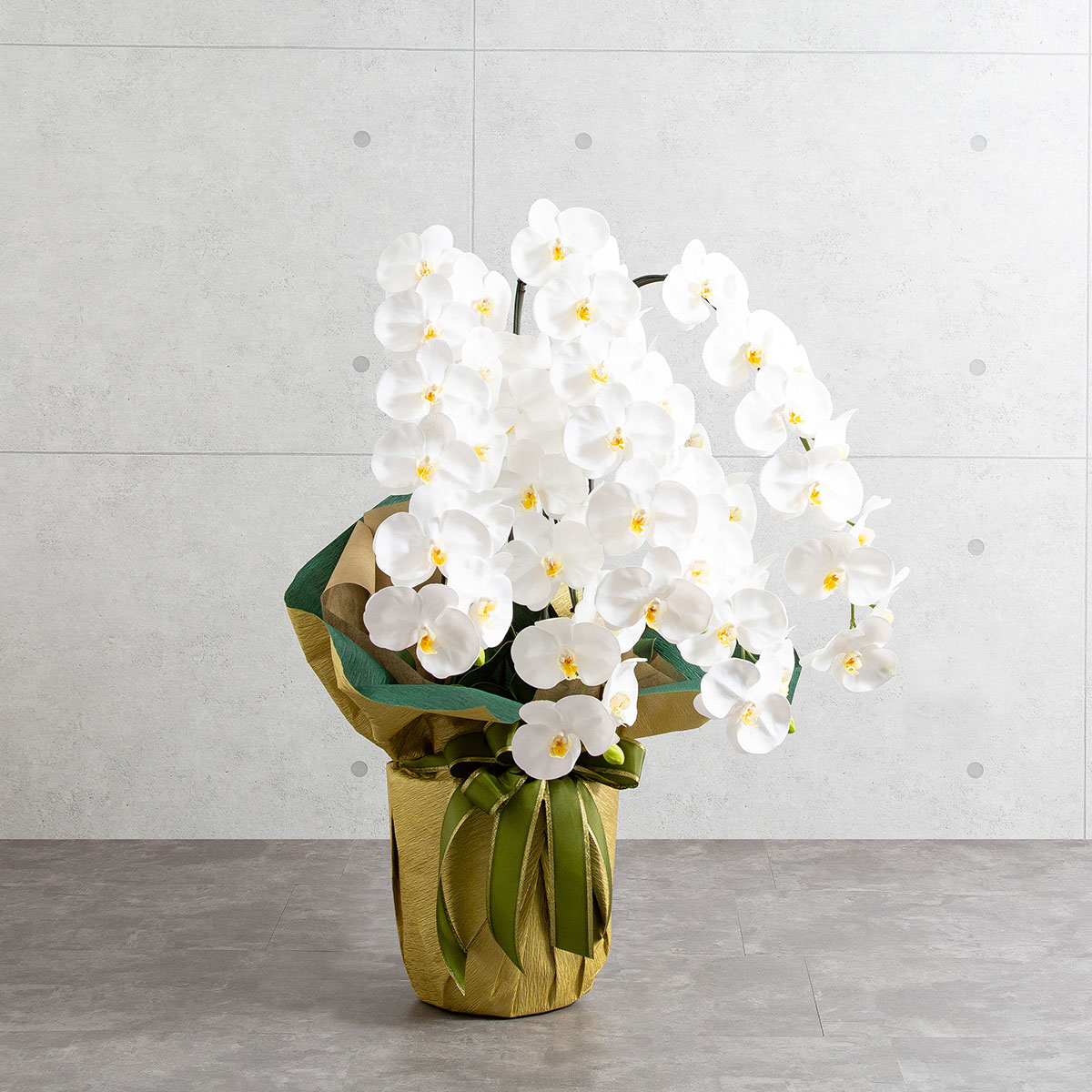 胡蝶蘭鉢 はくらん 5本立ち 白 アーティフィシャルフラワー