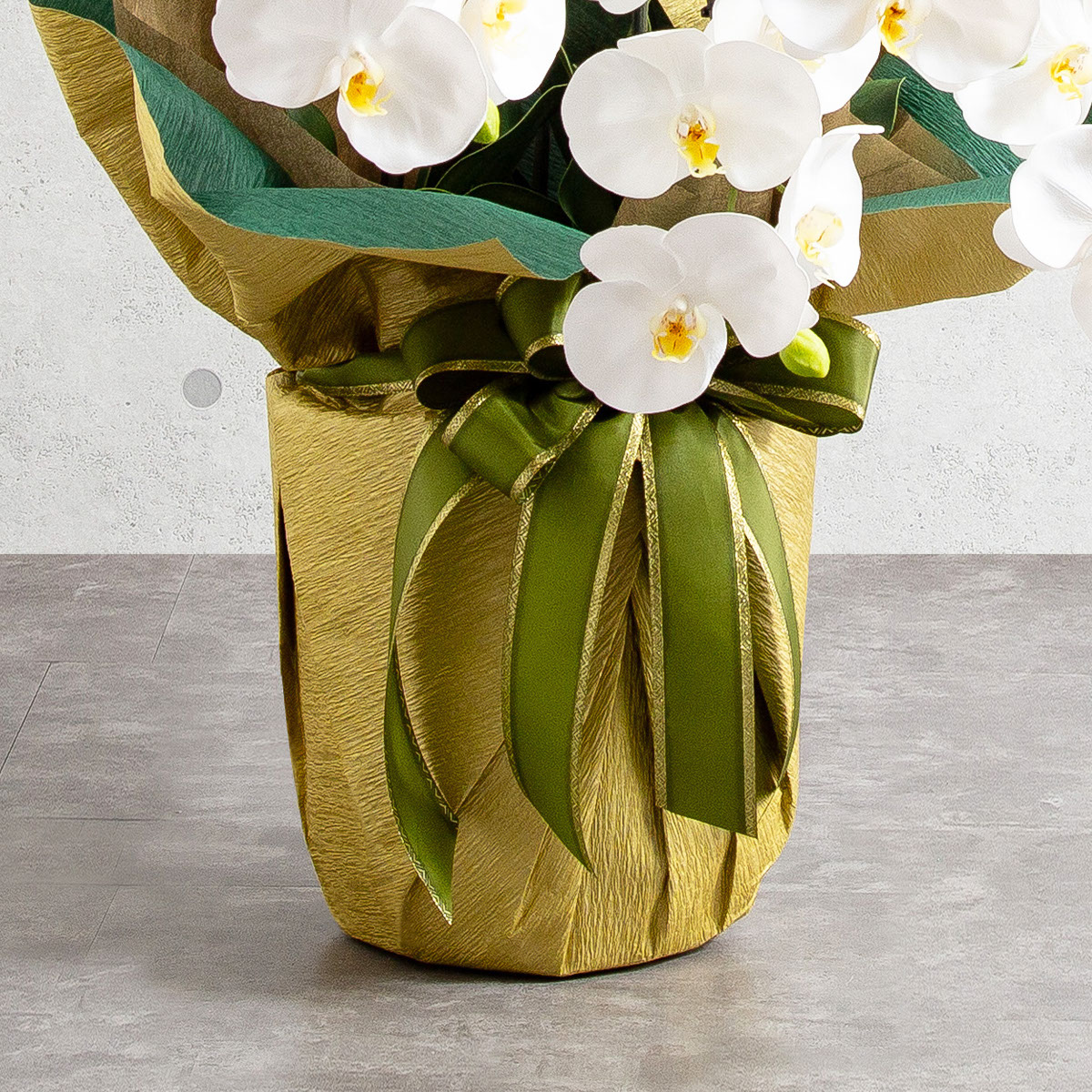 胡蝶蘭鉢 はくらん 5本立ち 白 アーティフィシャルフラワー