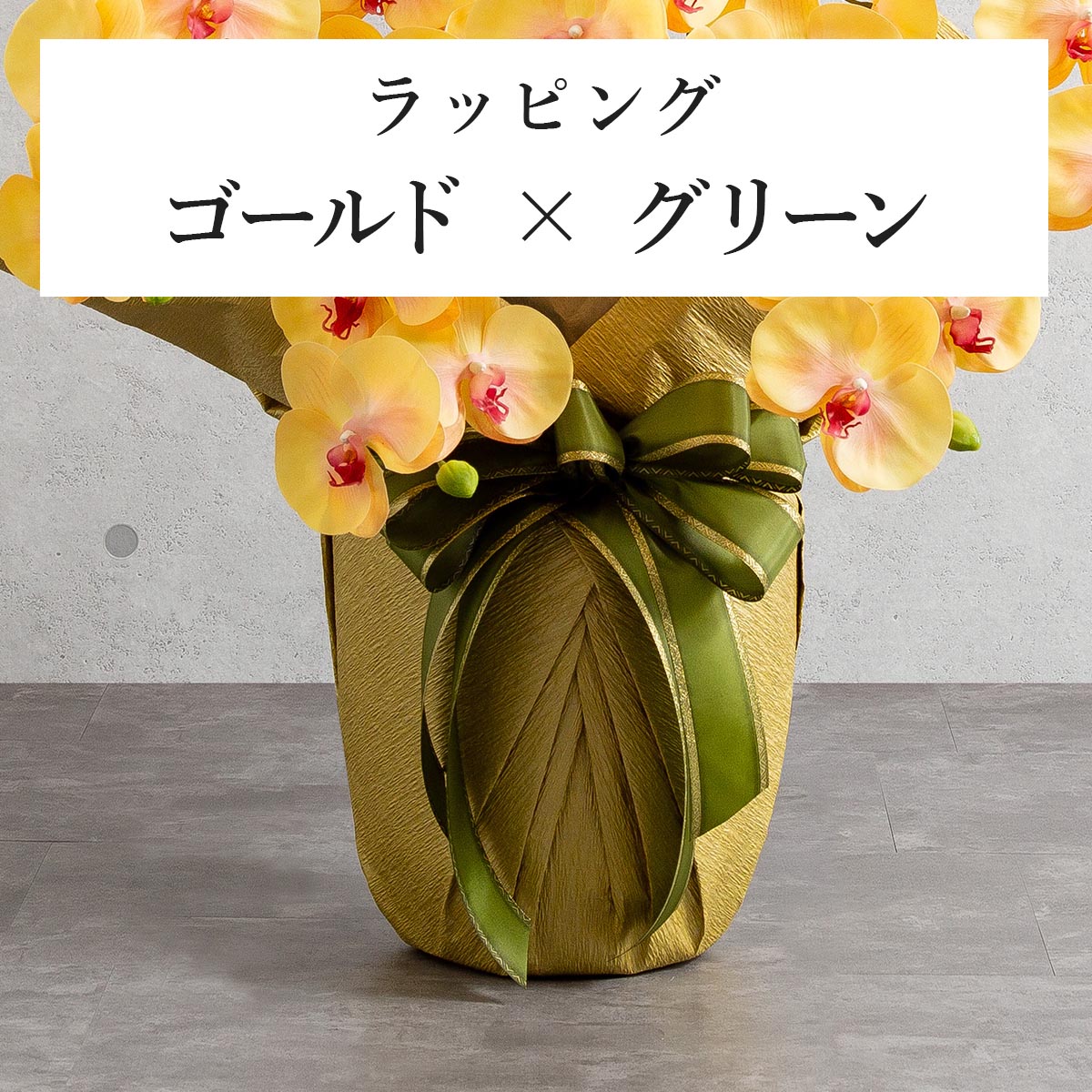 胡蝶蘭鉢 はくらん 5本立ち 赤リップ アーティフィシャルフラワー