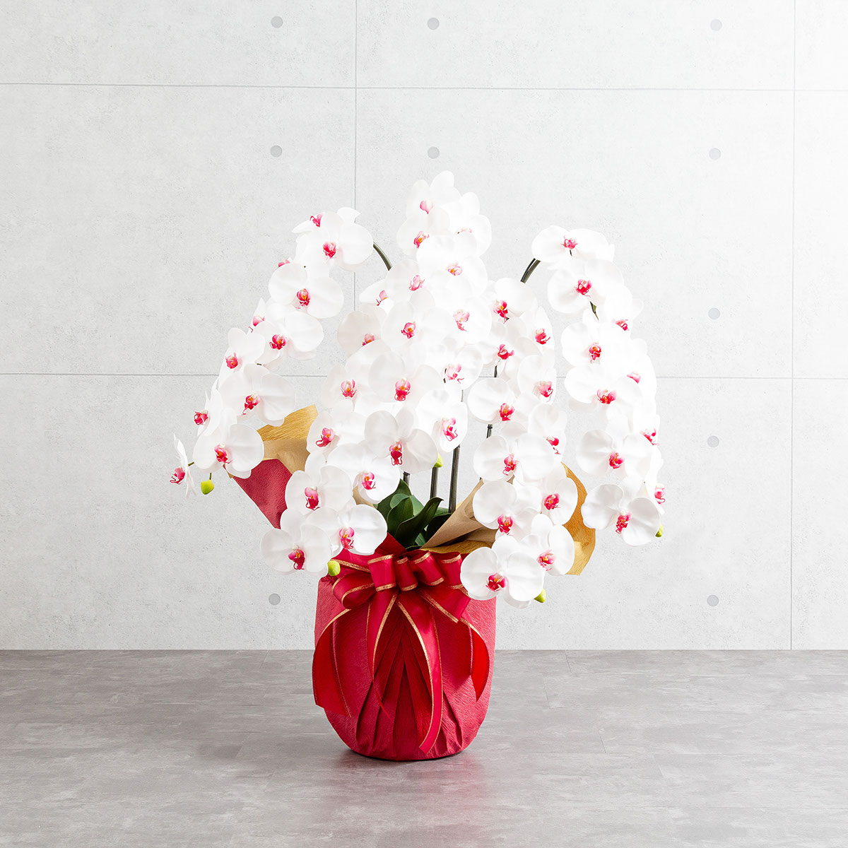 胡蝶蘭鉢 はくらん 5本立ち 赤リップ アーティフィシャルフラワー