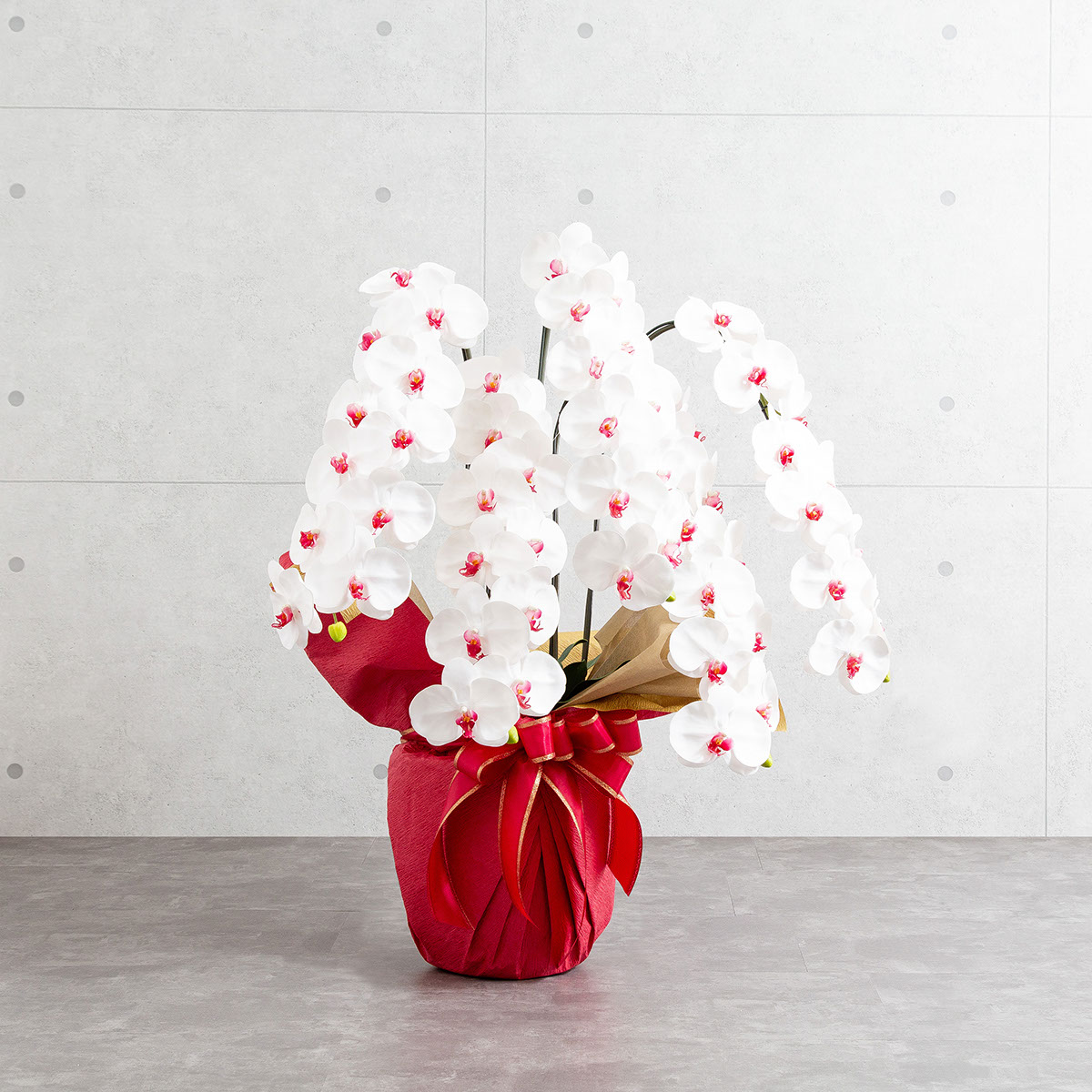 胡蝶蘭鉢 はくらん 5本立ち 赤リップ アーティフィシャルフラワー