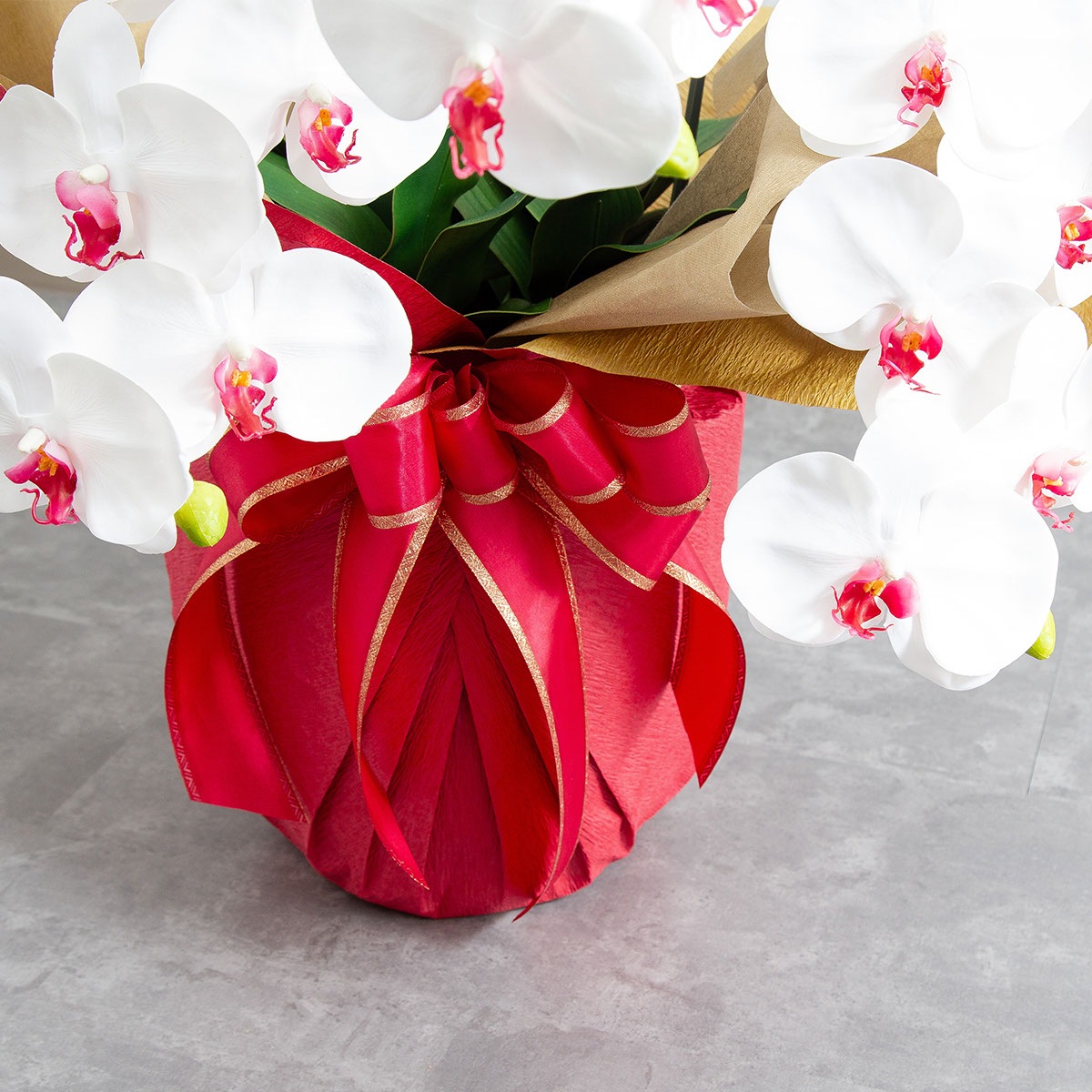 胡蝶蘭鉢 はくらん 5本立ち 赤リップ アーティフィシャルフラワー