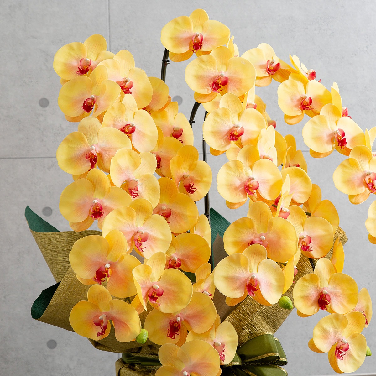 胡蝶蘭鉢 はくらん 5本立ち イエロー アーティフィシャルフラワー