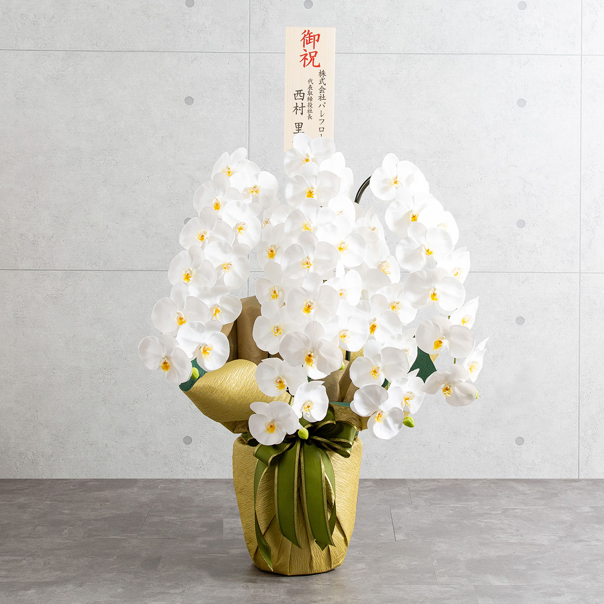 胡蝶蘭鉢 はくらん 選べる花器付 5本立ち 白 アーティフィシャルフラワー