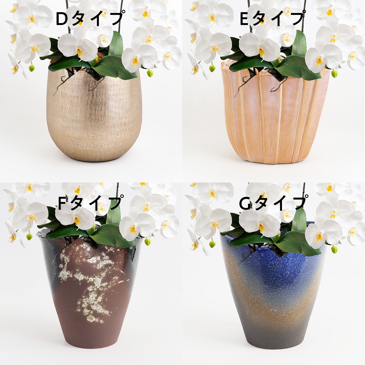 胡蝶蘭鉢 はくらん 選べる花器付 5本立ち 白 アーティフィシャルフラワー