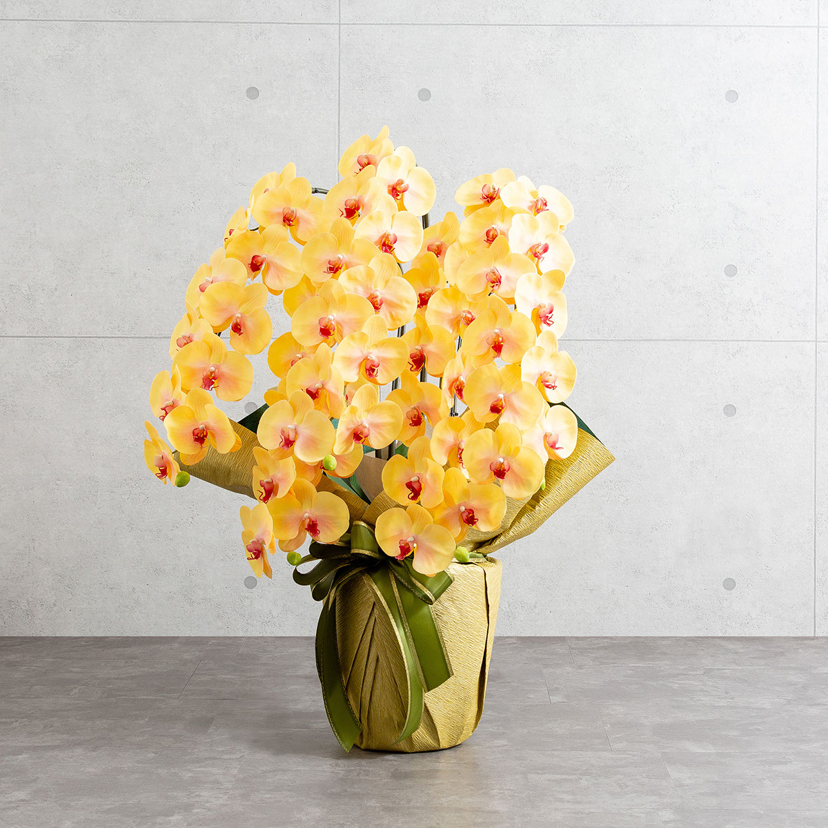 胡蝶蘭鉢 はくらん 選べる花器付 5本立ち イエロー アーティフィシャルフラワー