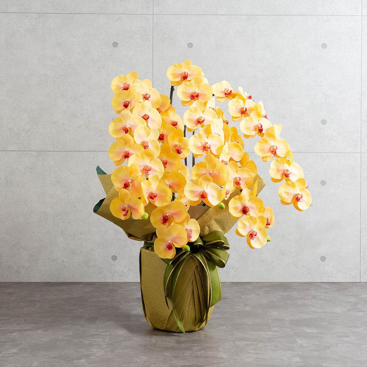 胡蝶蘭鉢 はくらん 選べる花器付 5本立ち イエロー アーティフィシャルフラワー