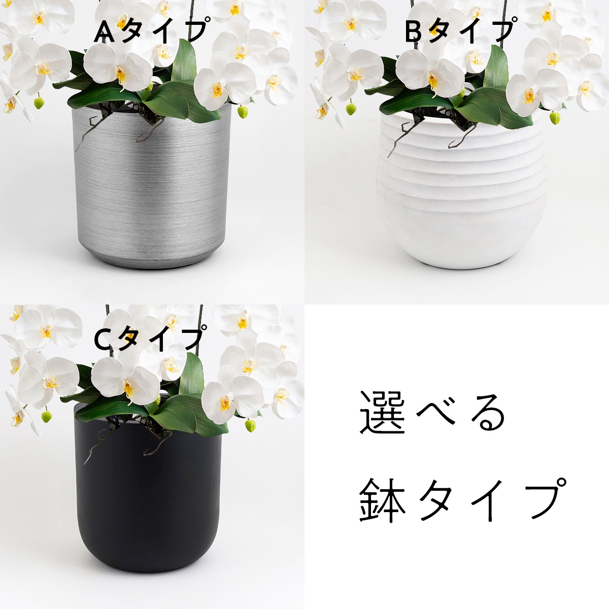 胡蝶蘭鉢 はくらん 選べる花器付 5本立ち イエロー アーティフィシャルフラワー